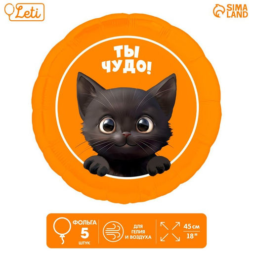 Воздушные шары фольгированные 18 «Котик. Ты чудо», 5 шт.