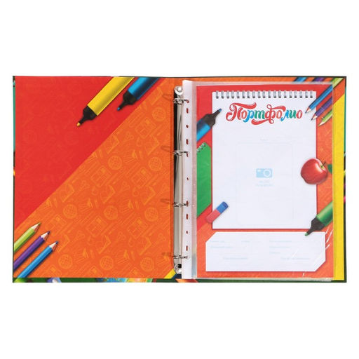 Папка школьная на кольцах «Портфолио школьника», 6 листов-разделителей, 24.5×32 см