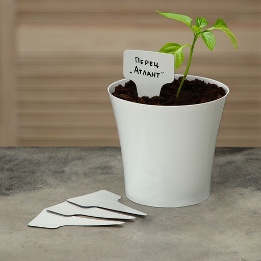 Таблички садовые для маркировки, 14 см, набор 25 шт., пластик, МИКС