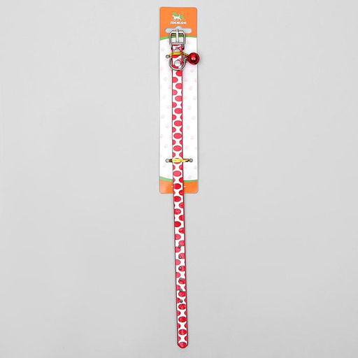 Ошейник Страсть, 30 х 1 см, микс цветов - Пижон фото 5