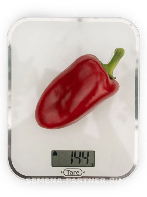 Перец сладкий Пилот - Партнер фото 6