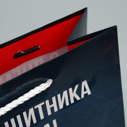 Цена за 2 шт. Пакет подарочный ламинированный, упаковка, С 23 февраля, ML 21?25?8 см