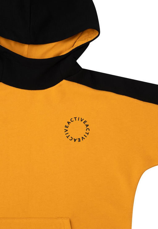 Джемпер (худи) с капюшоном д/мал. Дидрик - Oldos фото 7