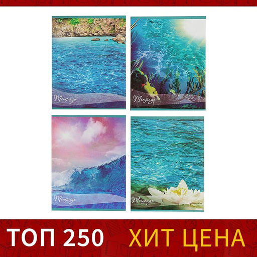 Тетрадь 48 листов в клетку Calligrata Океан, обложка мелованная бумага, блок №2, белизна 75% (серые листы), МИКС