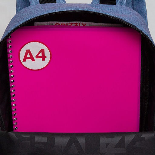 RXL-420-2 Рюкзак - Grizzly фото 32