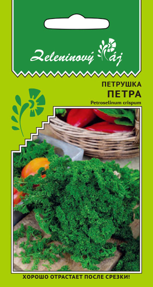 Петрушка кудрявая ПЕТРА Нежная зелень с пряным вкусом и ароматом! Крайне декоративна! Украсит и дом, и сад! - Уральский дачник фото 3