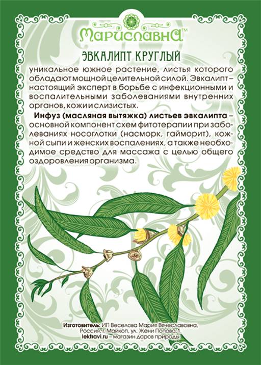 Масло эвкалипта (мини-флакон с капельницей для закапывания в нос) - Мариславна фото 2