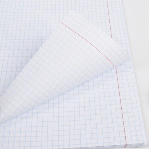 Предметная тетрадь, 48 листов, ПЕРСОНАЖИ, со справочными материалами Физика, обложка мелованный картон 230 гр., внутренний блок в клетку 80 гр., белизна 96% - Artfox study фото 5