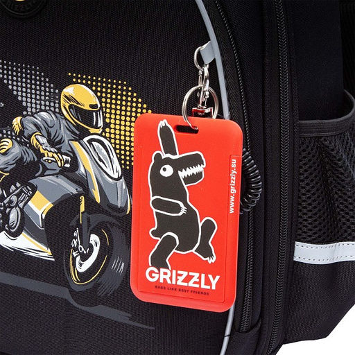RAz-587-15 Рюкзак школьный - Grizzly фото 41