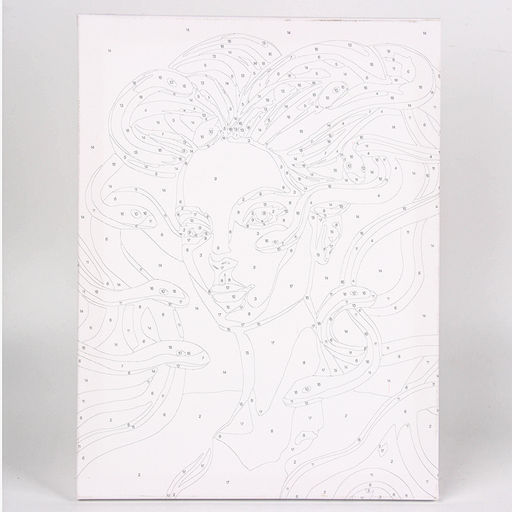 Картина по номерам на холсте с подрамником и гирляндой «Девушка и змеи», 30×40 см, набор для творчества