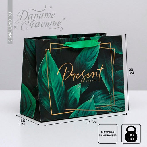 Цена за 2 шт. Пакет подарочный ламинированный, упаковка, «Present for you», ML 27×23×11.5 см