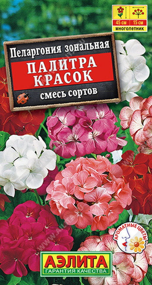 6112U Пеларгония Палитра красок, смесь сортов 4шт