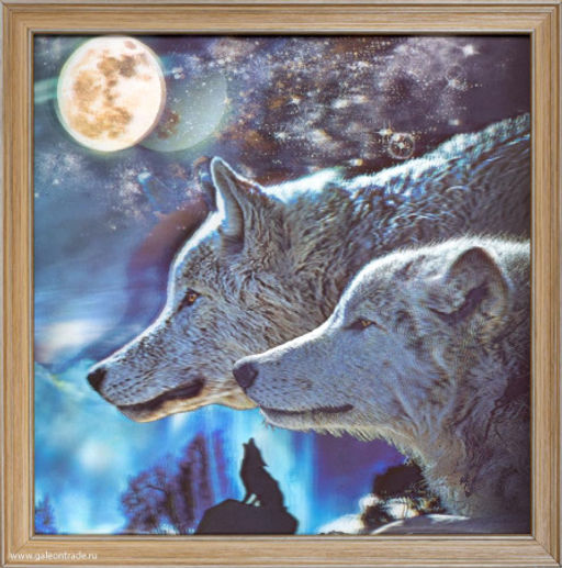 Картина 5D 40х40 131 Под луной / KS1912-3 /