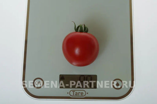 Томат Барух F1 - Партнер фото 3