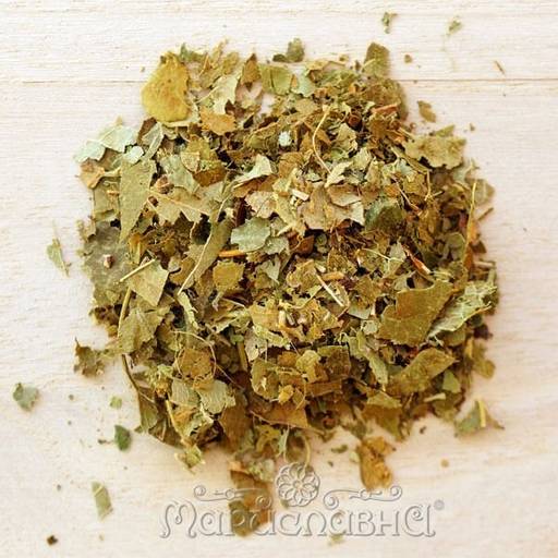 3 шт. Яблоня (лист) - Мариславна фото 2