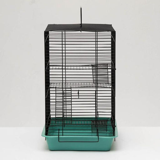 Клетка для грызунов Пижон №9, с 3-я этажами, без наполнения, 33 х 24 х 38 см, бирюзовая  фото 2