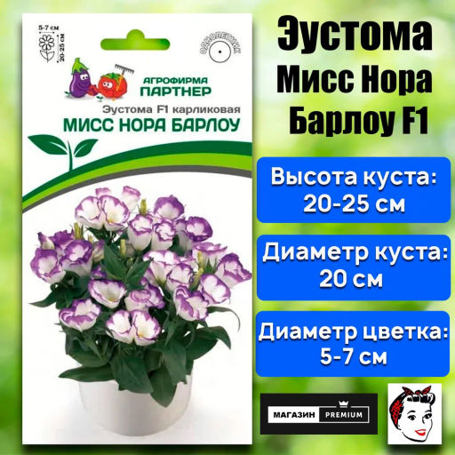 Эустома карликовая бело-фиолетовая с каймой Мисс Нора Барлоу - Партнер фото 2