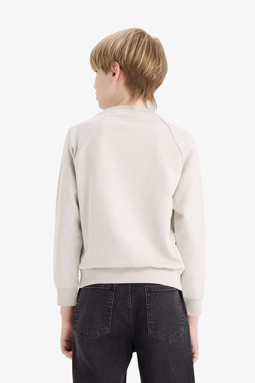 Bisiklet Yaka Basic D_z Okul Sweatshirt Erkek _ocuk - Defacto фото 6