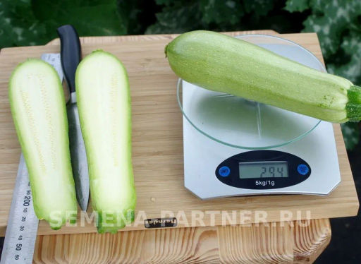 Кабачок Хьюго - Партнер фото 3