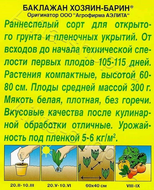 Баклажан Хозяин-барин 0,1г (Аэлита)