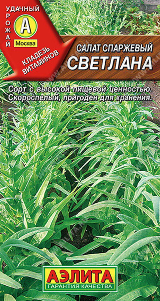 0843A Салат Светлана спаржевый 0,5гр