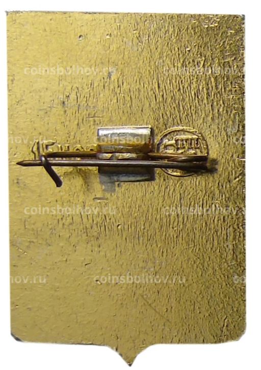 Значок Арзамас