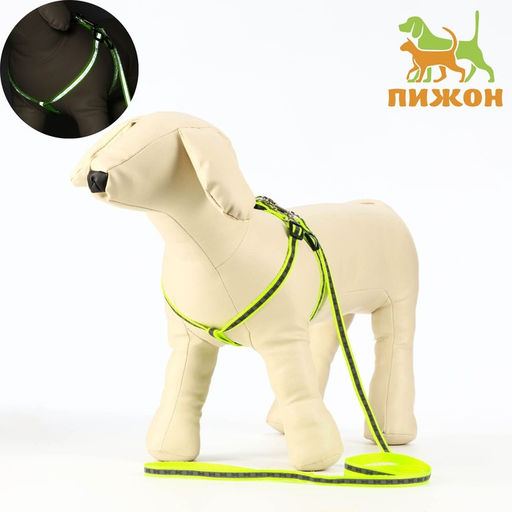 Комплект светоотражающий Косточки, ошейник 120 х 1 см, ОШ 26-42 см, ОГ 26-42 см, зелёный