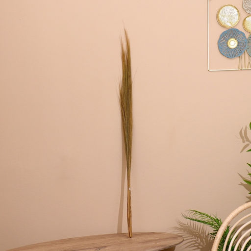 Сухоцвет натуральный, набор, 120 см