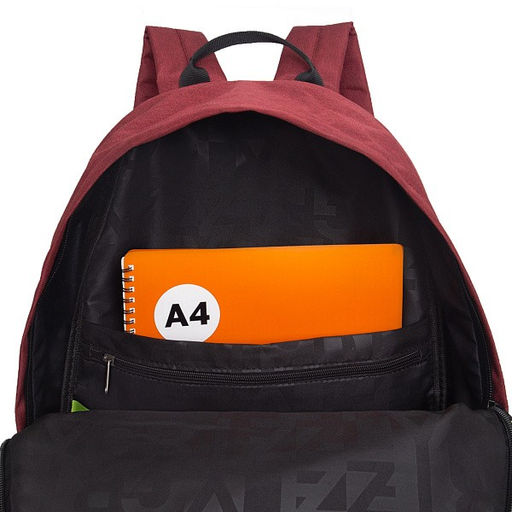 RQL-417-8 Рюкзак - Grizzly фото 49