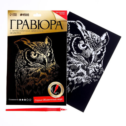 Набор гравюр Сова и бабочки - Школа талантов фото 3