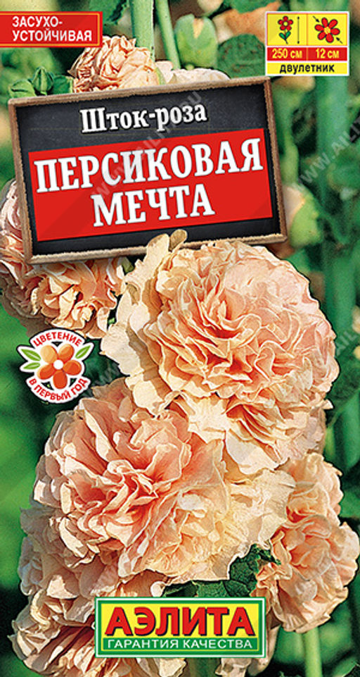 Шток-роза Персиковая мечта