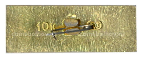 Значок Царицыно