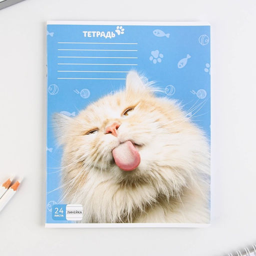 Тетрадь А5, 24 листа на скрепке в линию Милые питомцы, 5 видов МИКС, белизна 96% . - Artfox study фото 13