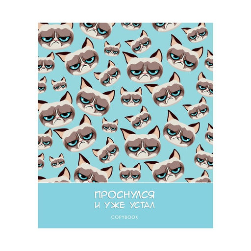 Тетрадь 48 листов в клетку Calligrata Котик Мем, обложка мелованный картон, глянцевая ламинация, выборочный твин-лак, блок офсет МИКС  фото 4
