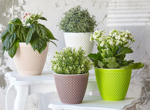 Кашпо 1,6 л Ротанг, арт.КШ-0989,0988,4555,6467,6468,6469,6470,6471,6472,6473,7986,8613,9712