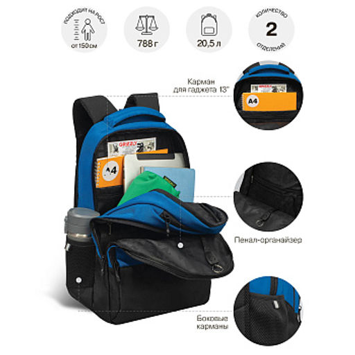 RU-630-6 Рюкзак - Grizzly фото 36