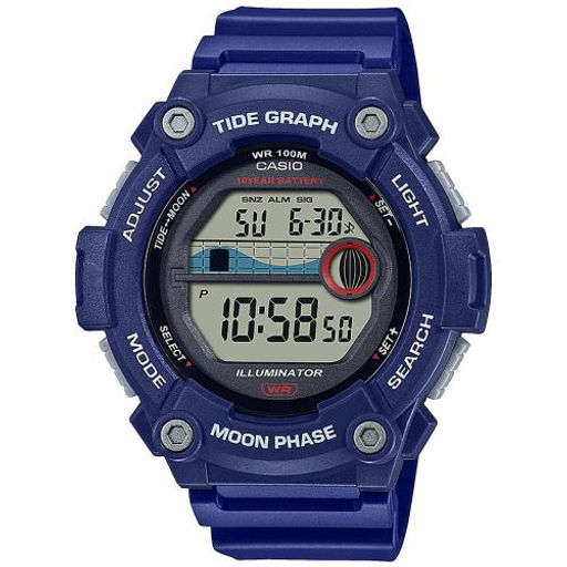 Наручные часы Casio мужские WS-1300H-2AVDF