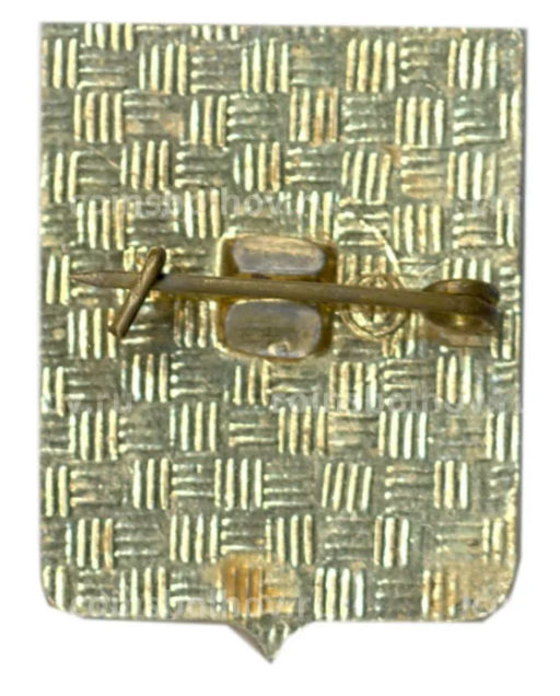 Значок Владимир