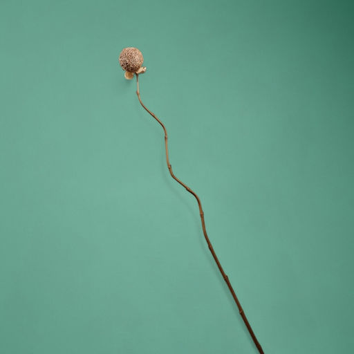 Сухоцвет,150 см, натуральный - Simaland фото 3