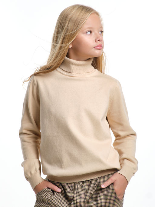 Джемпер (водолазка) 33-12240 - Mini maxi фото 83