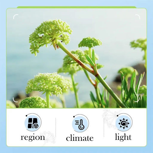 Нежная пенка для умывания с экстрактом морского фенхеля, 100 мл - Bioaqua фото 4