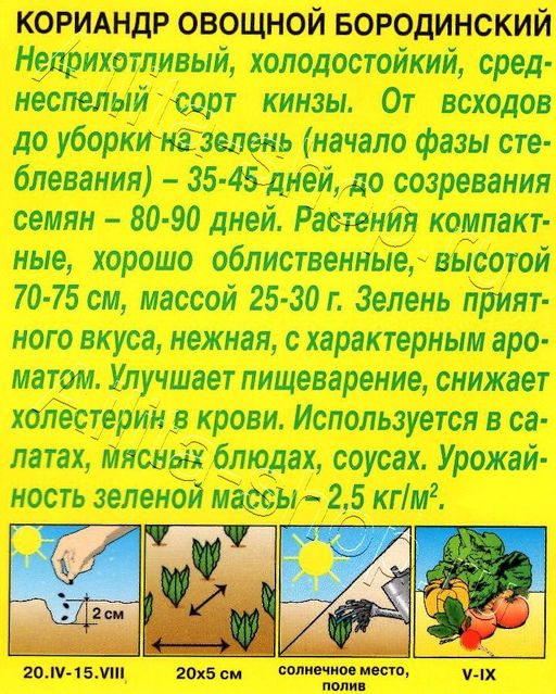 Кориандр (кинза) Бородинский 3г (Аэлита, серия Лидер)