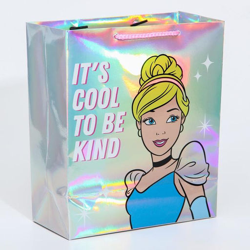 Пакет голография, горизонтальный, 25 х 21 х 10 см Today is my day, Принцессы - Disney фото 2