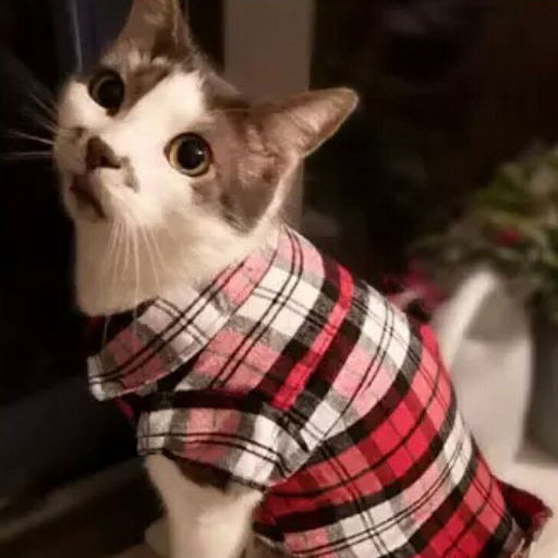 Кофта - рубашка фланелевая для мелких пород собак и кошек "BRO Style", цвет красный, р XL