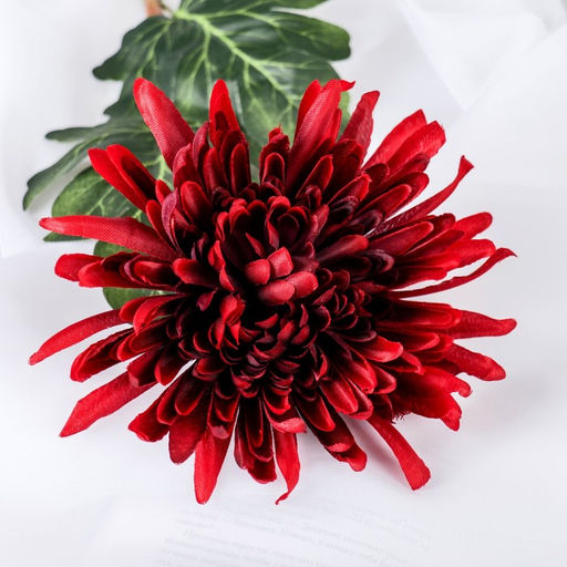 Цветы искусственные «Астра пионовидная», 17×63 см, бордовые