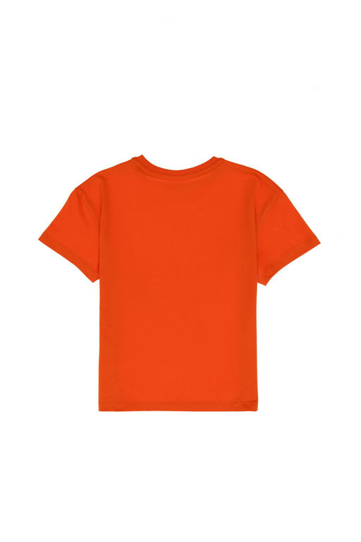 Erkek _ocuk Nar _i_e_i Oversize Bisiklet Yaka Ti__rt Sepette S_rpriz _ndirim - U.s. polo assn фото 2