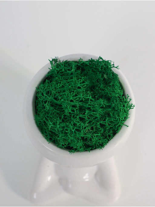 Стабилизированный мох в кашпо из керамики «Мистер Грин йог», 11.5×7×8 см, белый