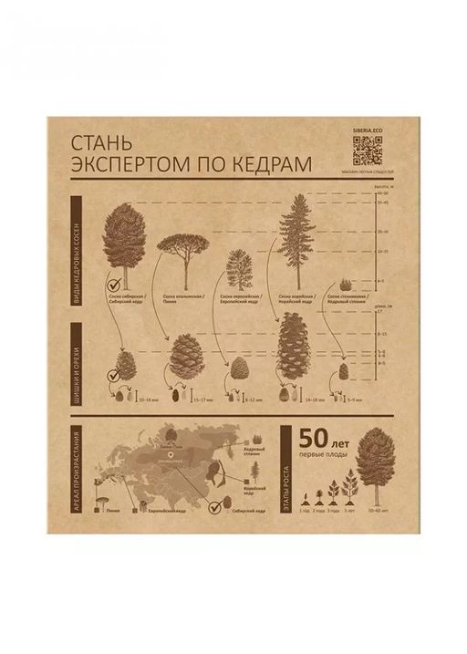 Кедровый грильяж ассорти, 120 г  черника, клюква, облепиха - Сибирский кедр фото 7