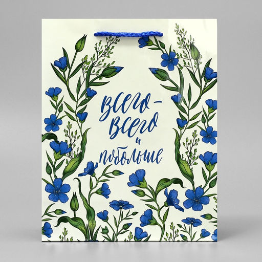 Цена за 2 шт. Пакет подарочный ламинированный, упаковка, «Всего-всего», MS 18 х 23 х 8 см