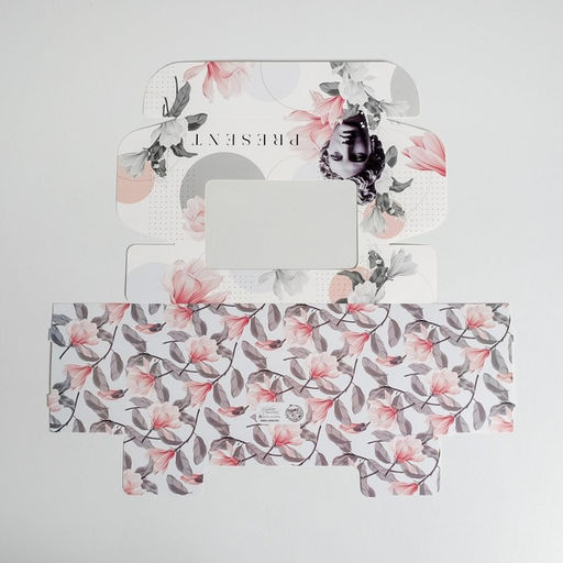 Цена за 5 шт. Коробка для эклеров, кондитерская упаковка, 5 вкладышей, Present, 25.2?15?7 см